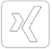 XING